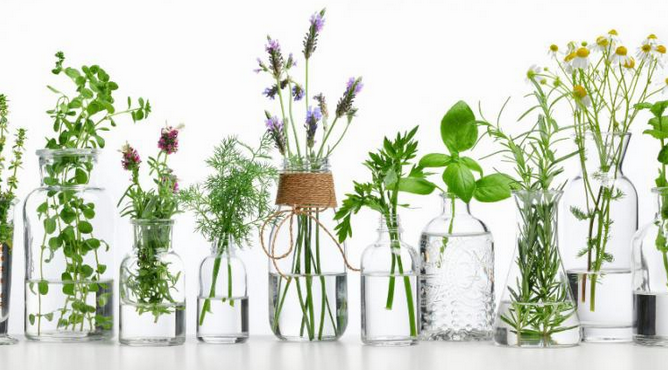 [Ульвия Голденбрук] [Центр Шерома] Исцеление гормо_0.png